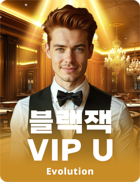 Blackjack VIP U