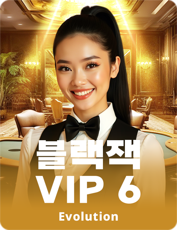 Blackjack VIP 6