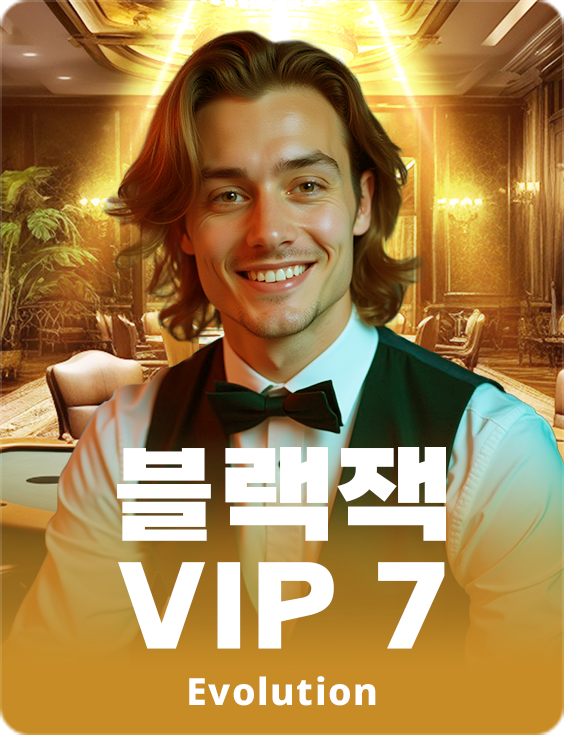 Blackjack VIP 7