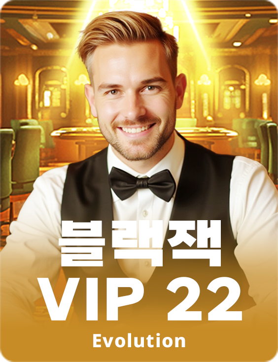 Blackjack VIP 22