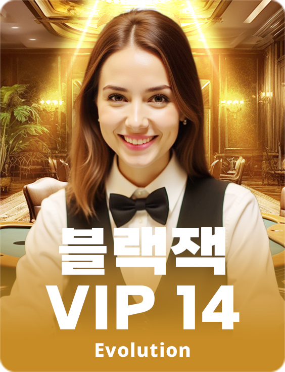Blackjack VIP 14