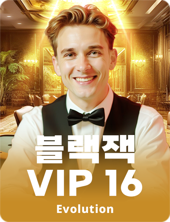 Blackjack VIP 16