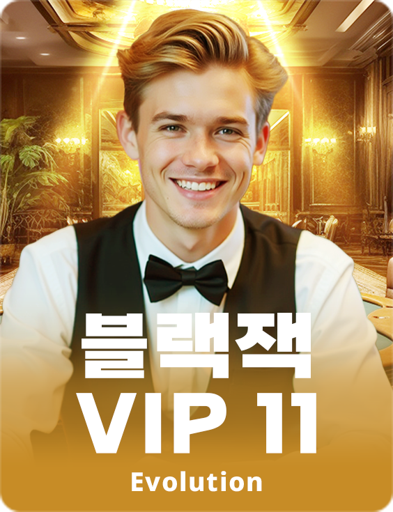 Blackjack VIP 11