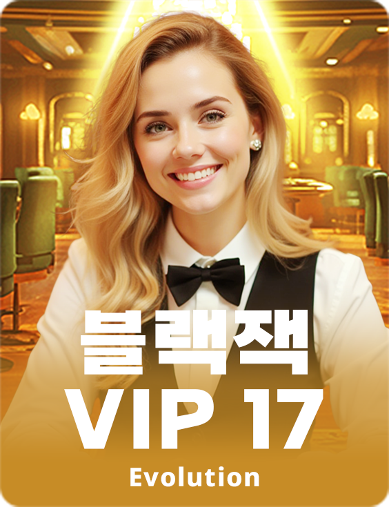 Blackjack VIP 17