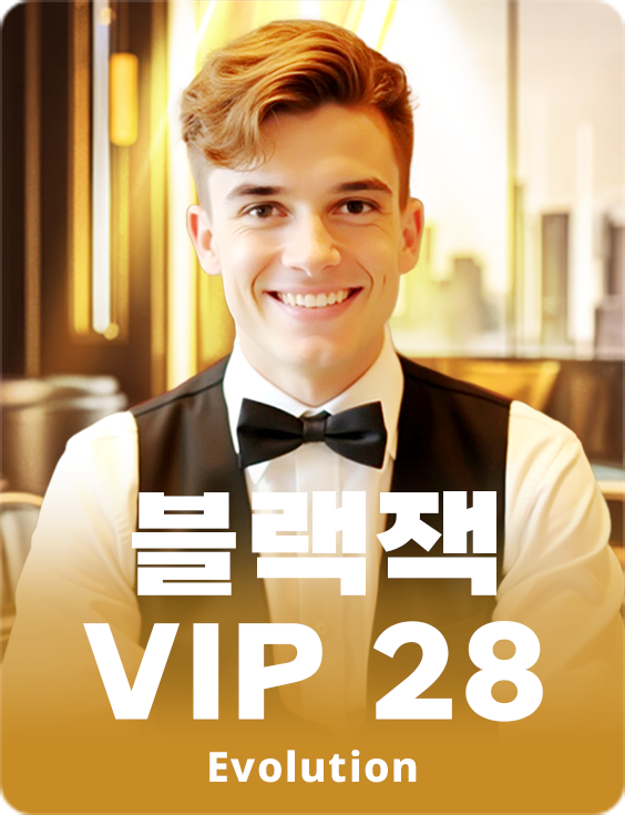 Blackjack VIP 28