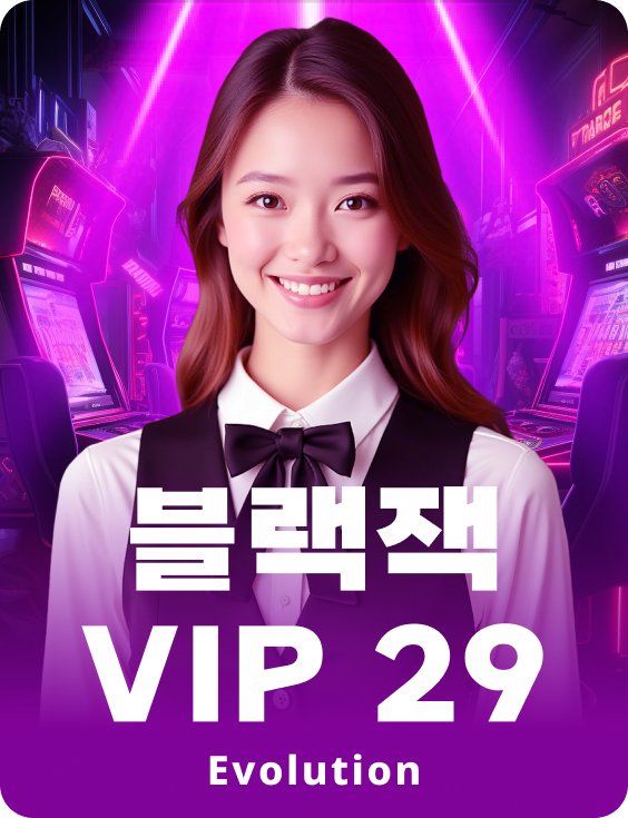 블랙잭 VIP 29