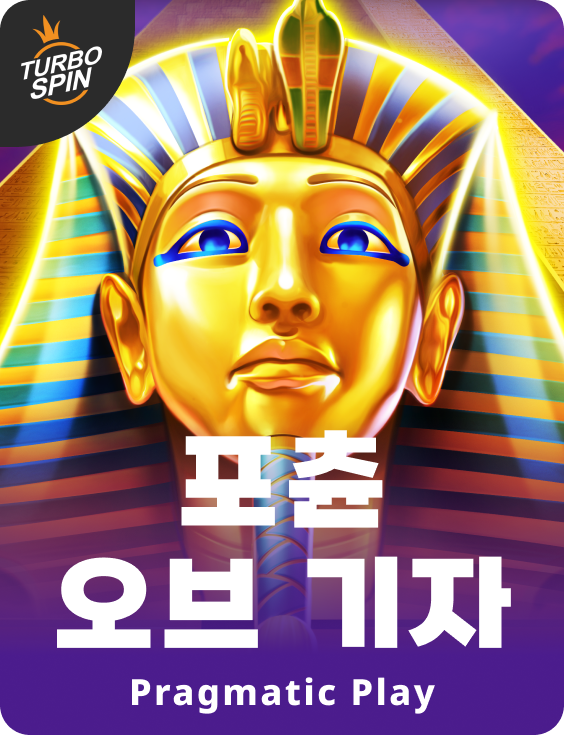 포츈 오브 기자