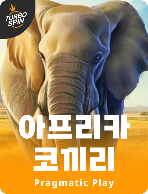 아프리카 코끼리