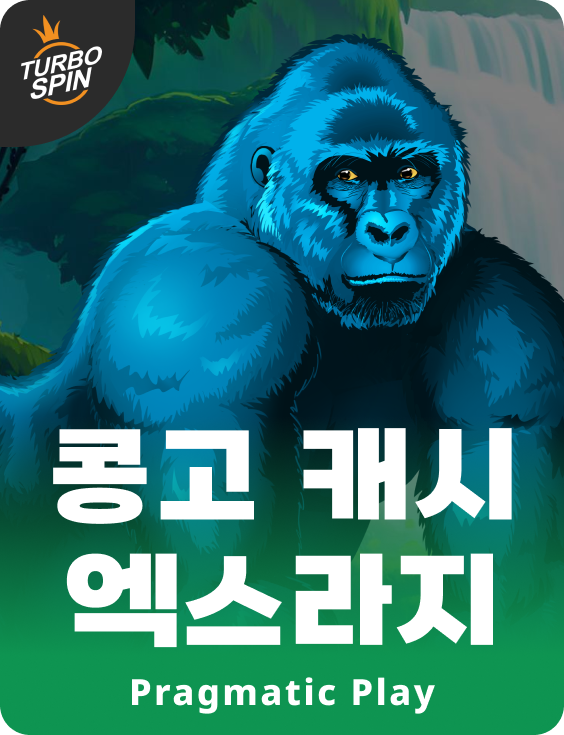 콩고 캐시 엑스라지