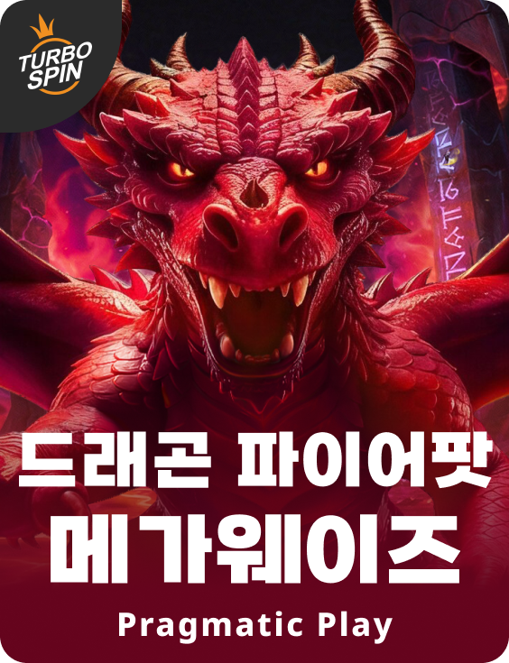 드래곤 파이어팟 메가웨이즈