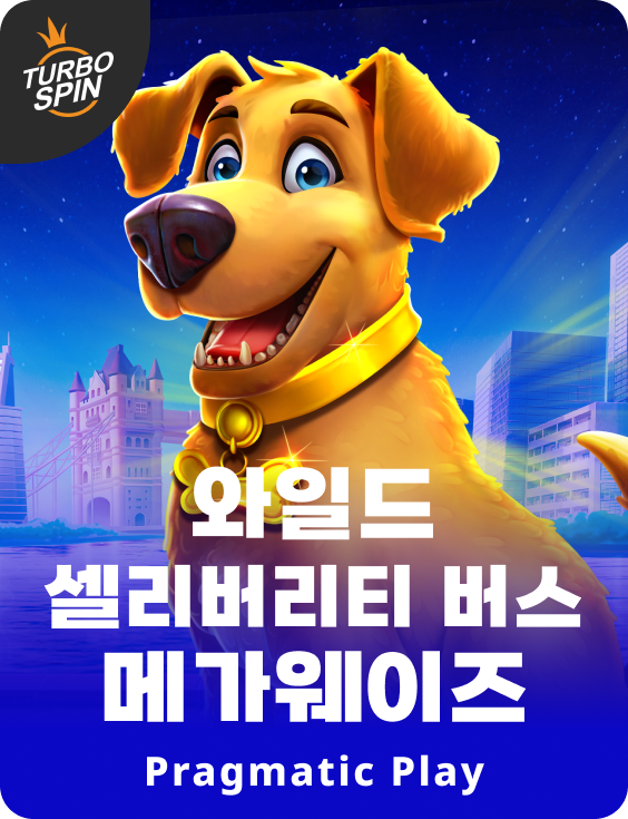 와일드 셀리버리티 버스 메가웨이즈