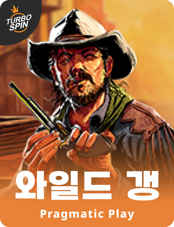 와일드 갱