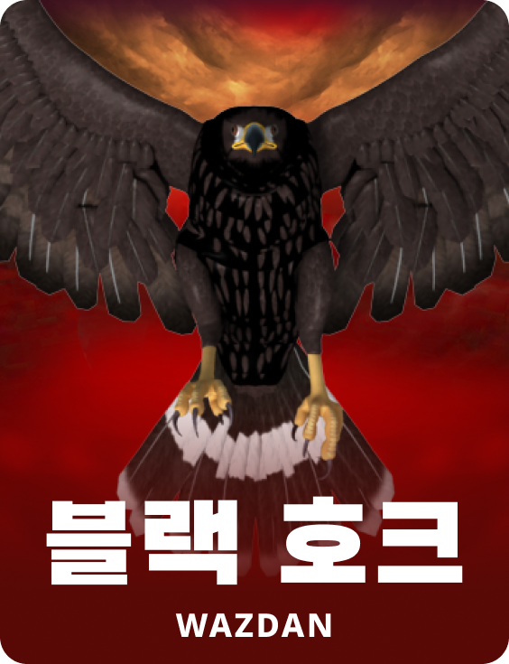 블랙 호크