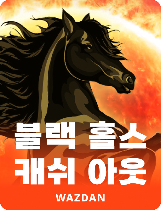 블랙 홀스 캐쉬 아웃