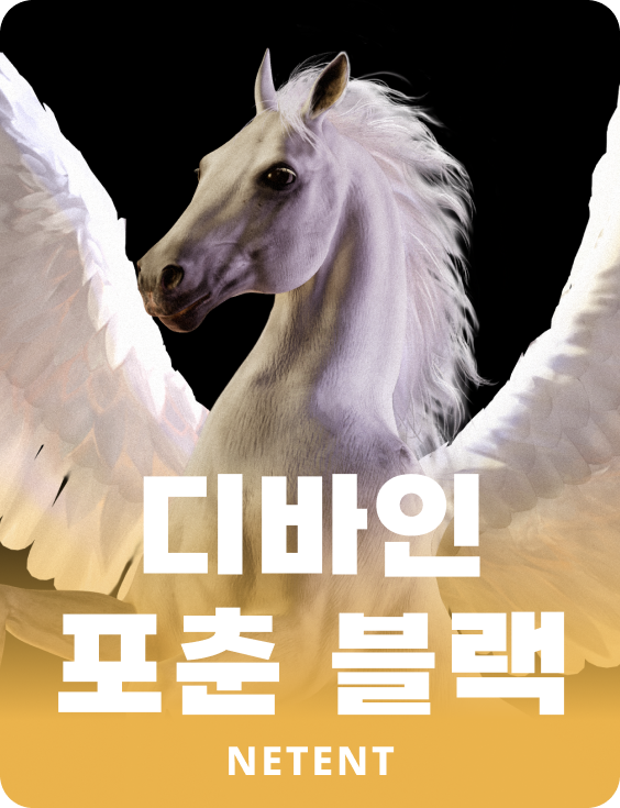 디바인 포춘 블랙