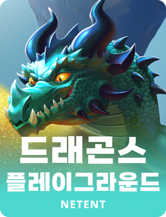 드래곤스 플레이그라운드