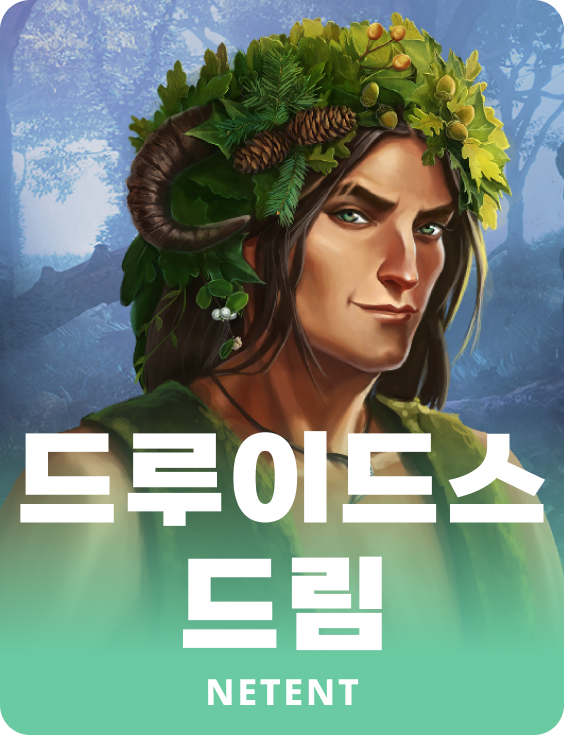 드루이드스 드림