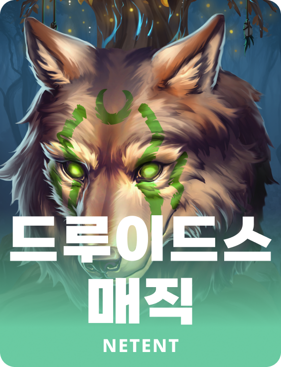 드루이드스 매직