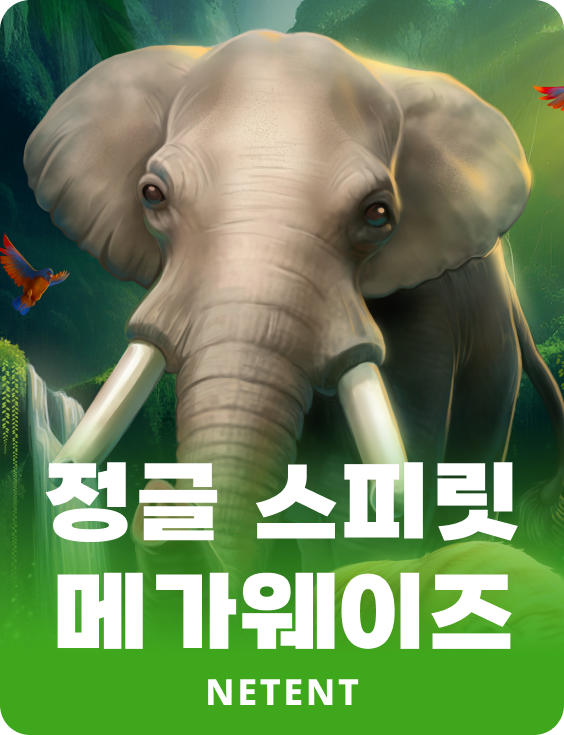 정글 스피릿 메가웨이즈