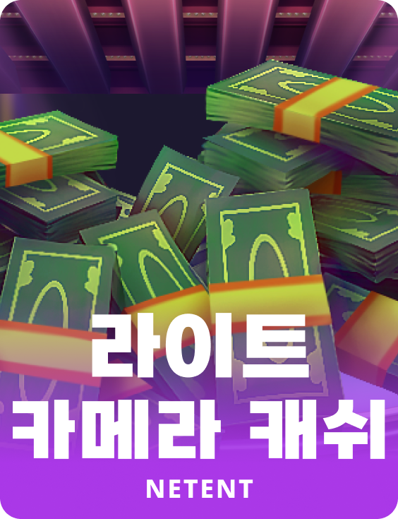 라이트 카메라 캐쉬