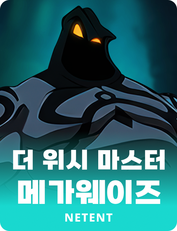 더 위시 마스터 메가웨이즈