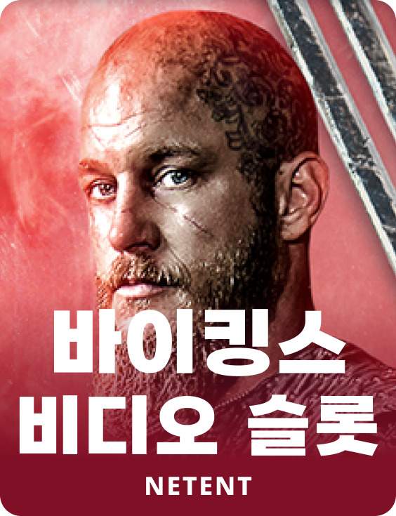 바이킹스 비디오 슬롯