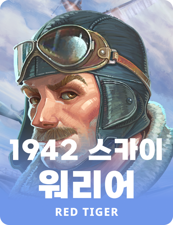 1942 스카이 워리어