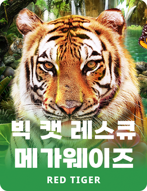 빅 캣 레스큐 메가웨이즈