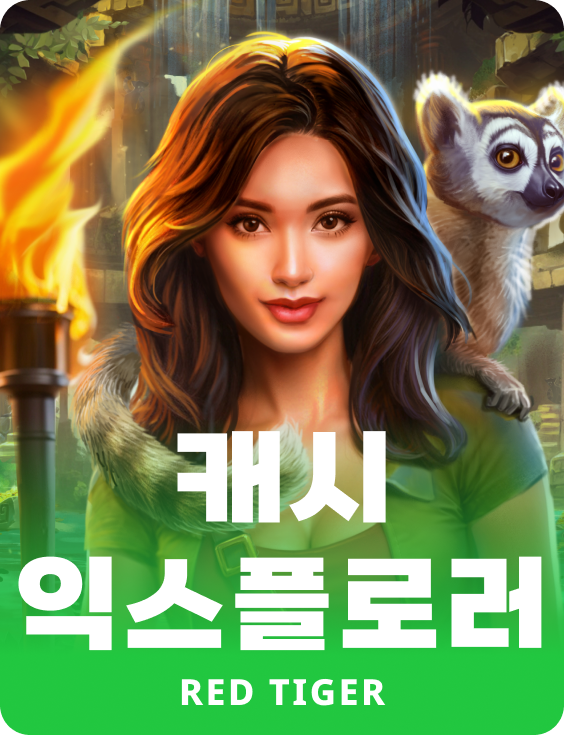 캐시 익스플로러