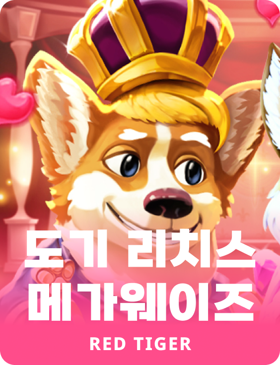 도기 리치스 메가웨이즈