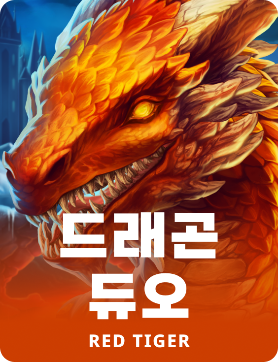 드래곤 듀오