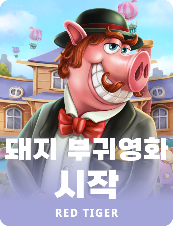 돼지 부귀영화 시작