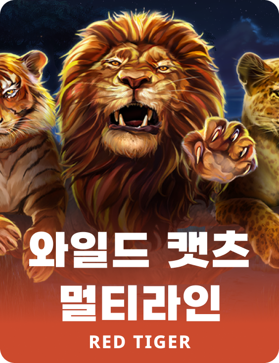 와일드 캣츠 멀티라인