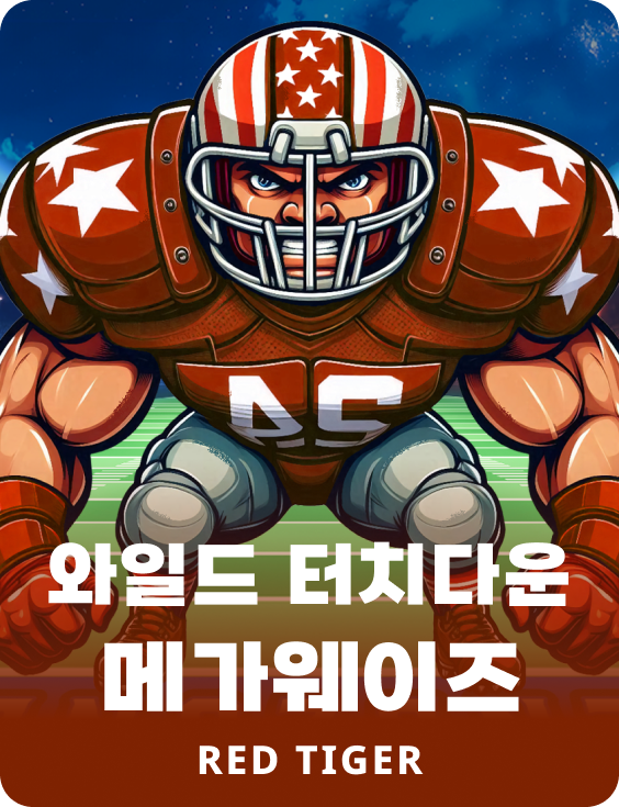 와일드 터치다운 메가웨이즈