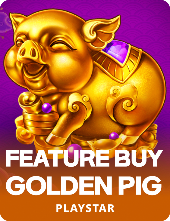 FEATURE BUY・GOLDEN PIG