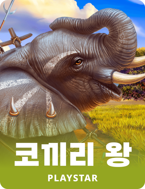 코끼리 왕