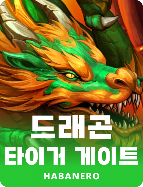 드래곤 타이거 게이트