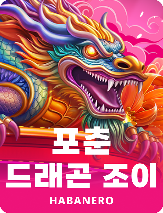 포춘 드래곤 조이