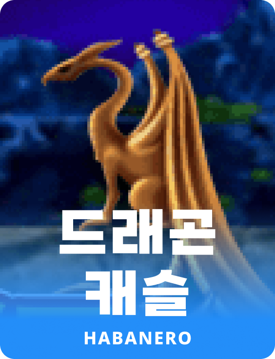 드래곤 캐슬