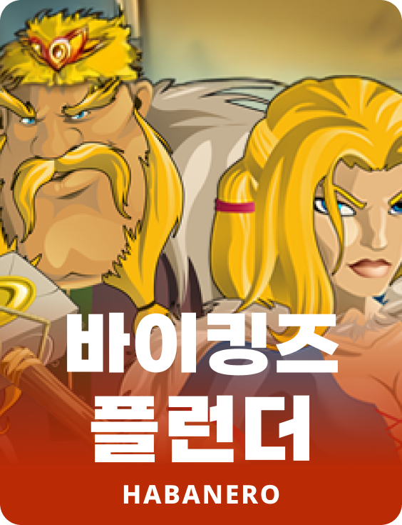 바이킹스 플런더