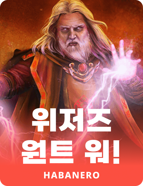 위자즈 원트 워!