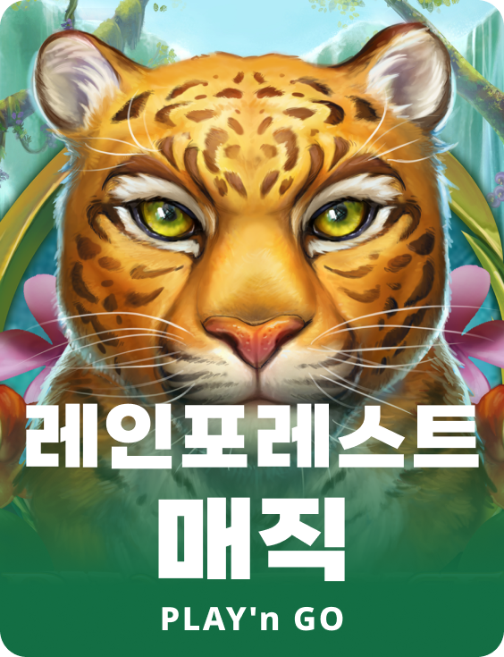 레인포레스트 매직