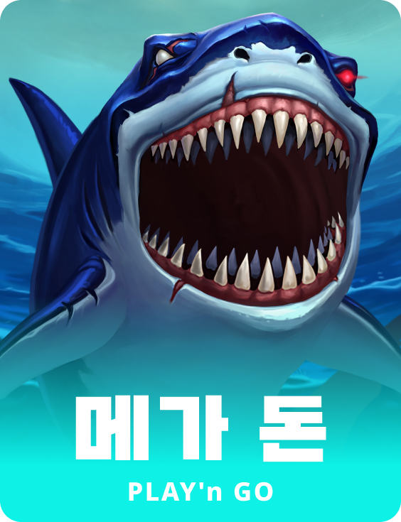 메가 돈