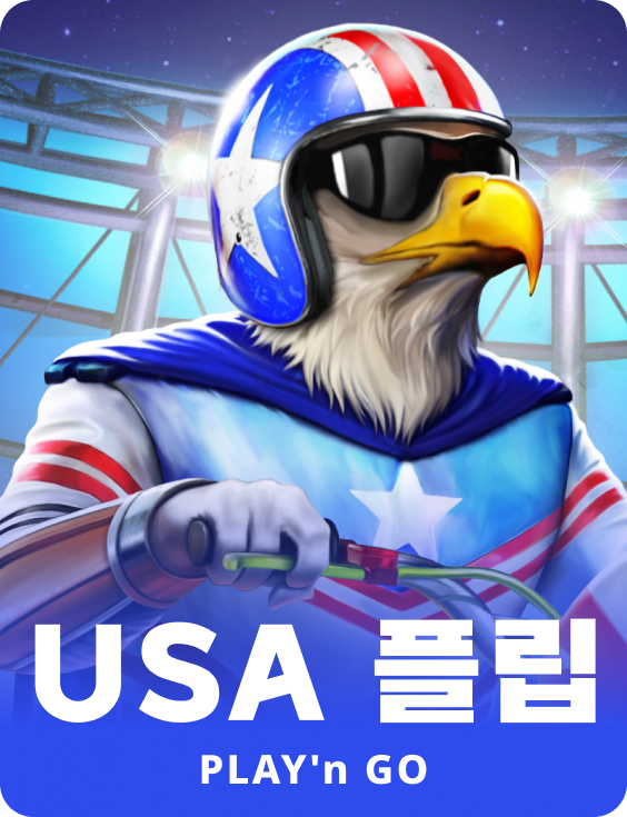 유에스에이 플립