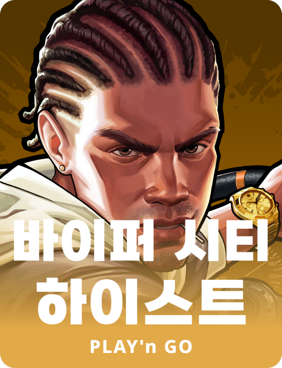 바이퍼 시티 하이스트