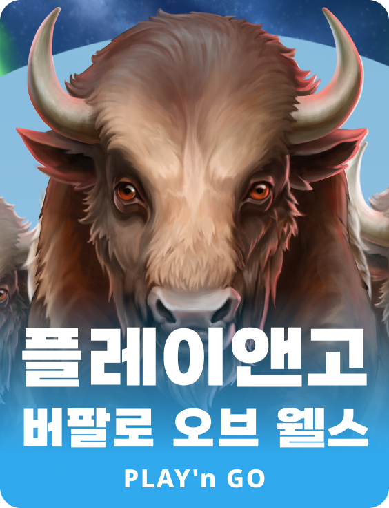 플레이앤고 버팔로 오브 웰스