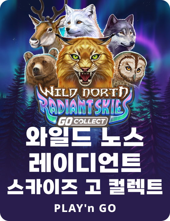 와일드 노스 레이디언트 스카이즈 고 컬렉트