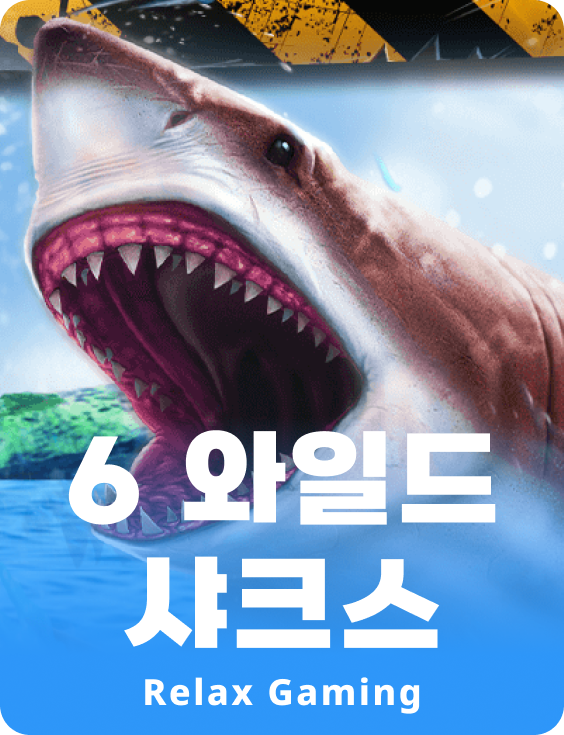 6 와일드 샤크즈