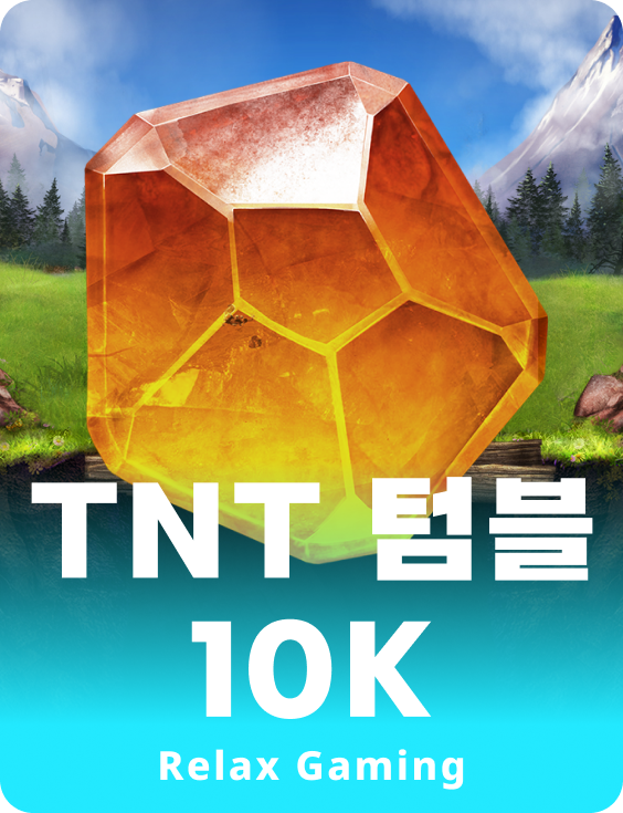 TNT 텀블 10K