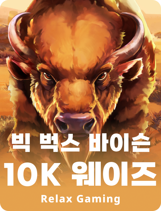 빅벅스 바이슨 10K 웨이즈